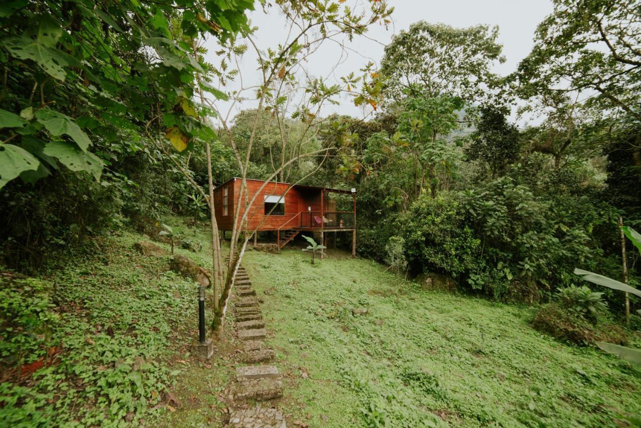 Coffee & Adventure Hotel By La Palma Y El Tucan Zipacon Екстер'єр фото