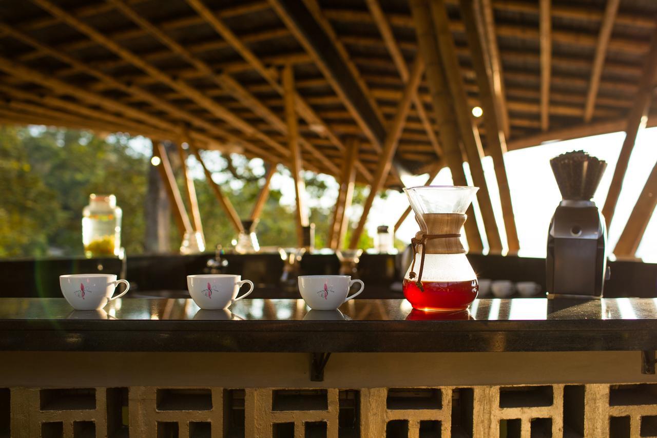 Coffee & Adventure Hotel By La Palma Y El Tucan Zipacon Екстер'єр фото