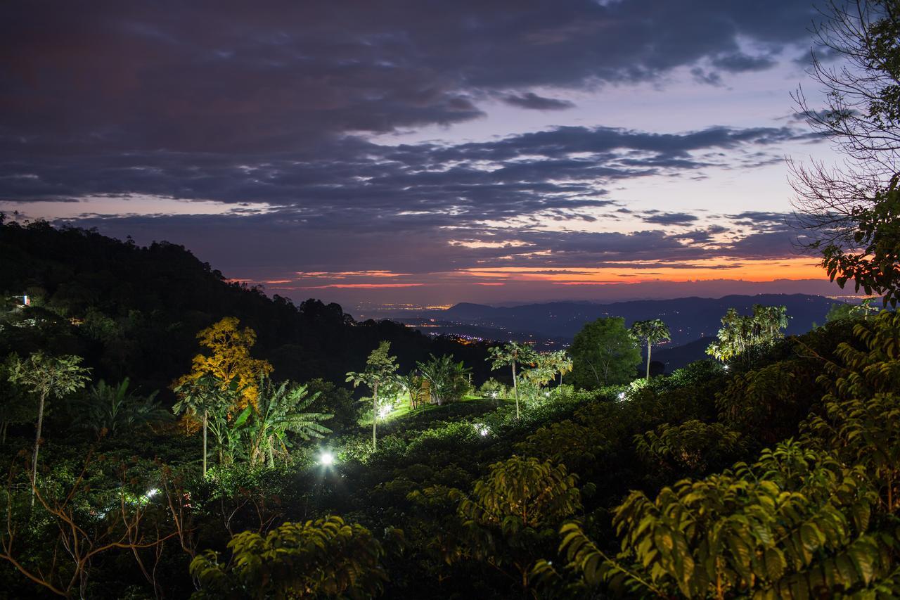 Coffee & Adventure Hotel By La Palma Y El Tucan Zipacon Екстер'єр фото
