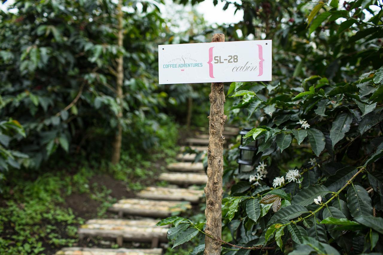 Coffee & Adventure Hotel By La Palma Y El Tucan Zipacon Екстер'єр фото