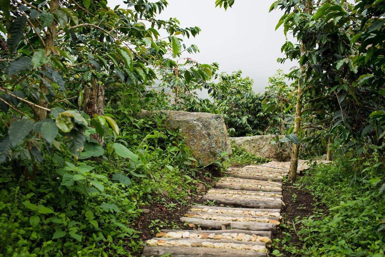 Coffee & Adventure Hotel By La Palma Y El Tucan Zipacon Екстер'єр фото