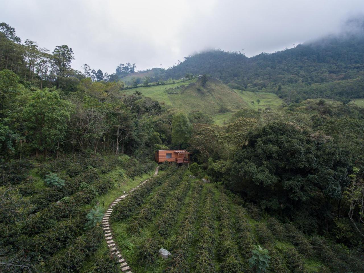 Coffee & Adventure Hotel By La Palma Y El Tucan Zipacon Екстер'єр фото