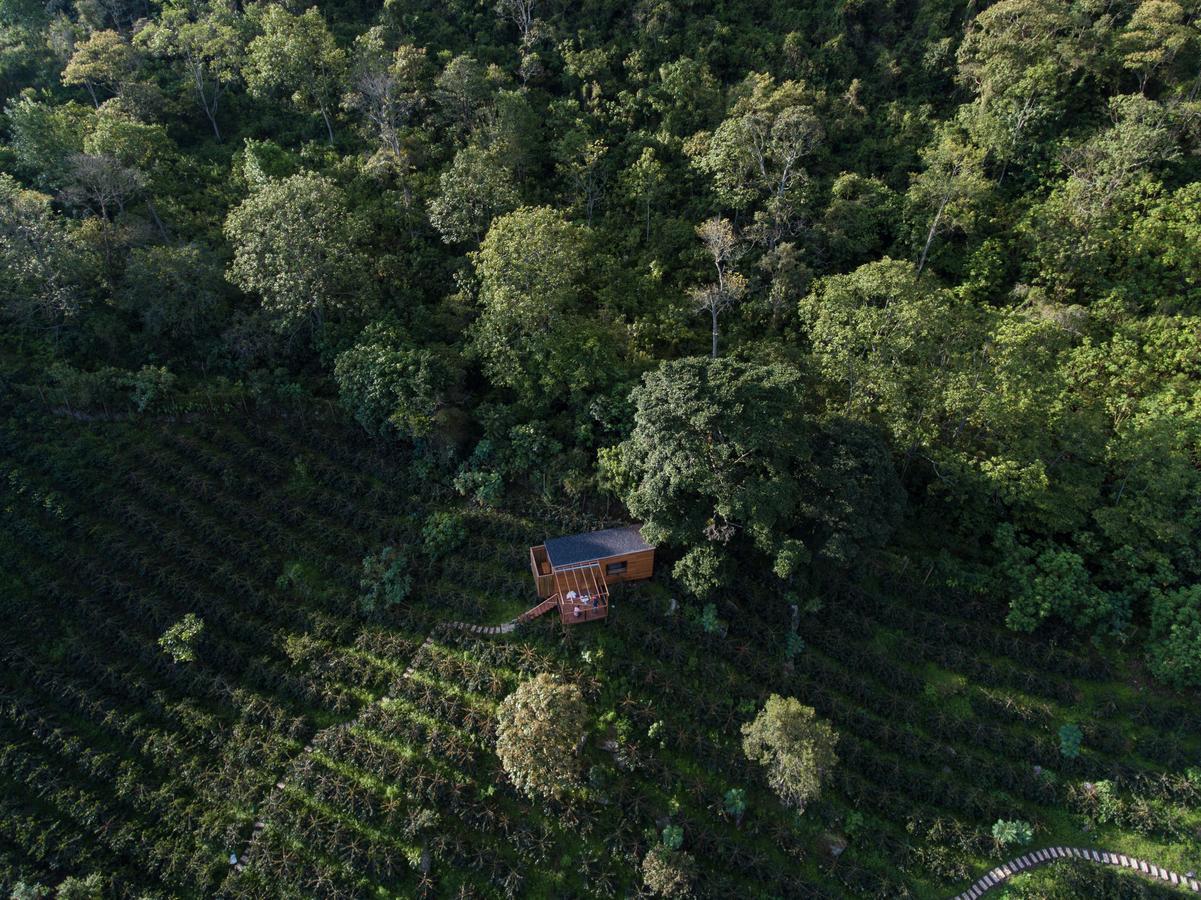 Coffee & Adventure Hotel By La Palma Y El Tucan Zipacon Екстер'єр фото