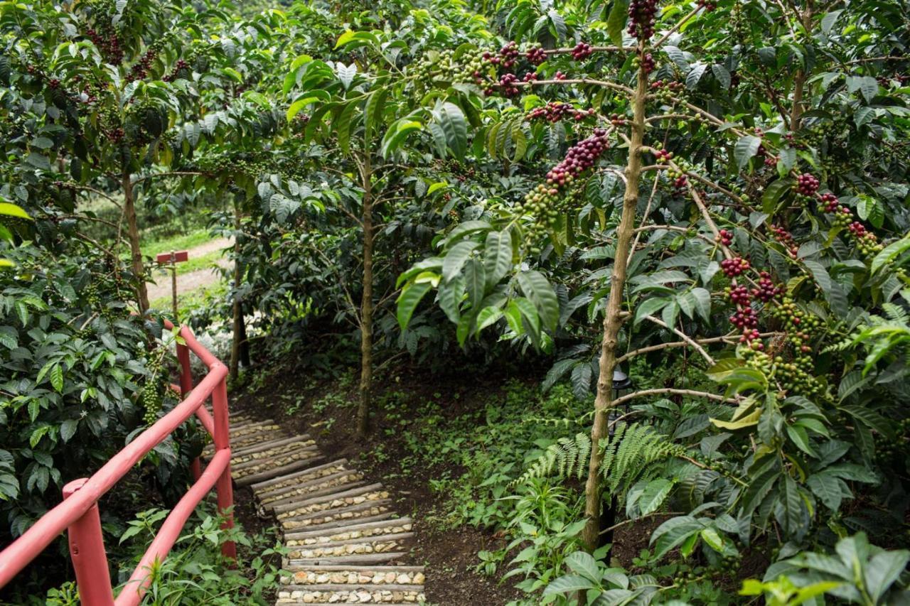 Coffee & Adventure Hotel By La Palma Y El Tucan Zipacon Екстер'єр фото